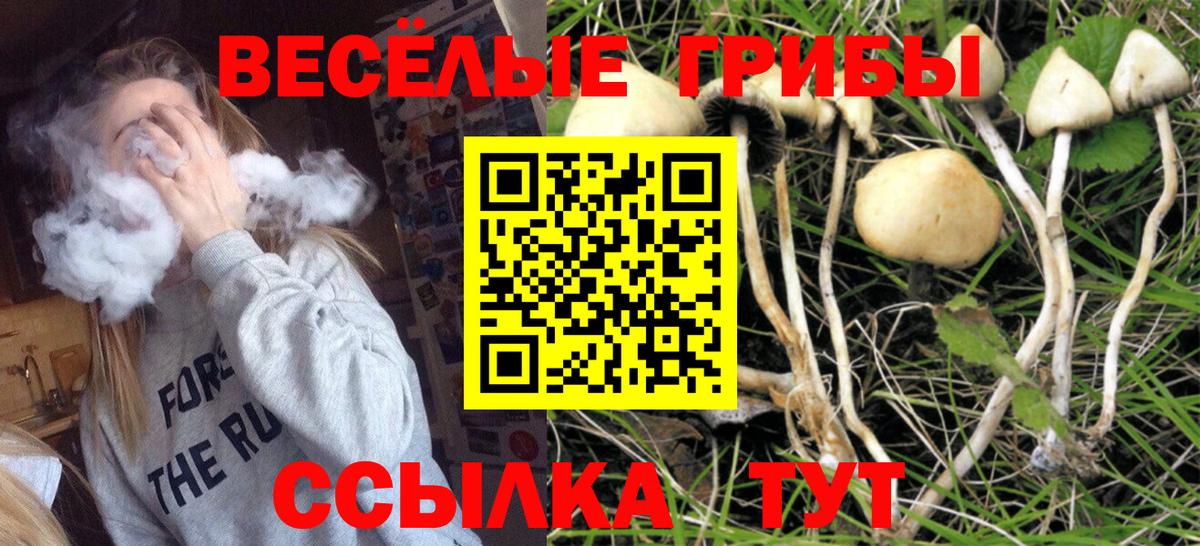 Воткинск  Галлюциногенные грибы Psilocybe  Вход с VPN  Галлюциногенные грибы Cubensis 