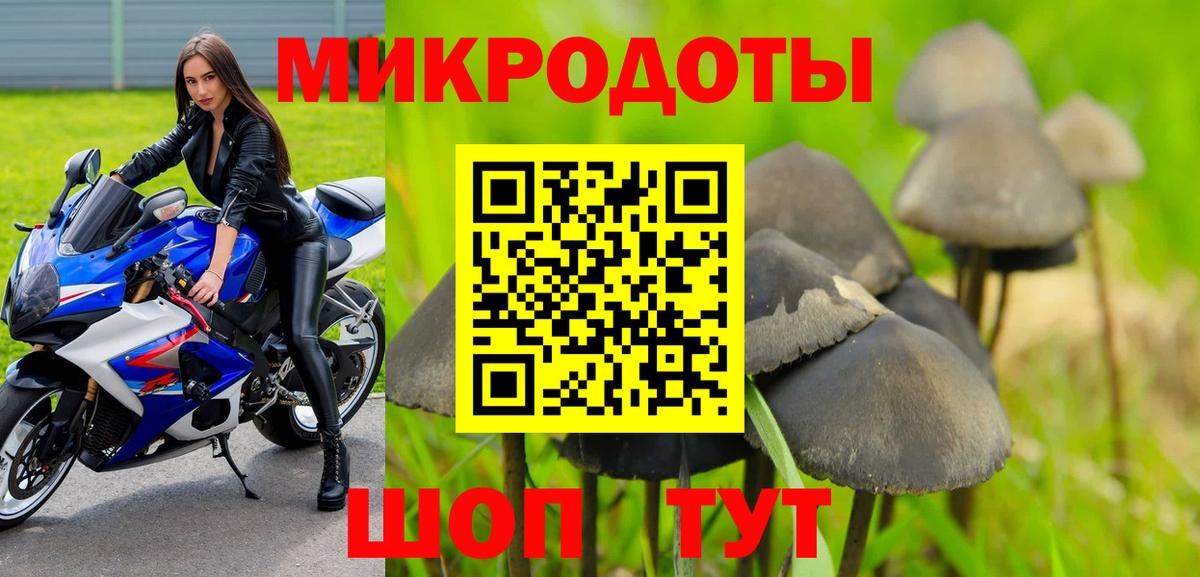Псилоцибиновые грибы GOLDEN TEACHER Воткинск